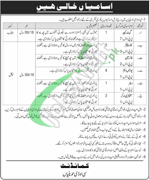 Cad Havelian Jobs 2026 2026 — Official Newspaper Advertisement | SkillzDunya